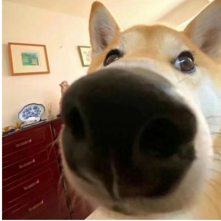 釉瞳