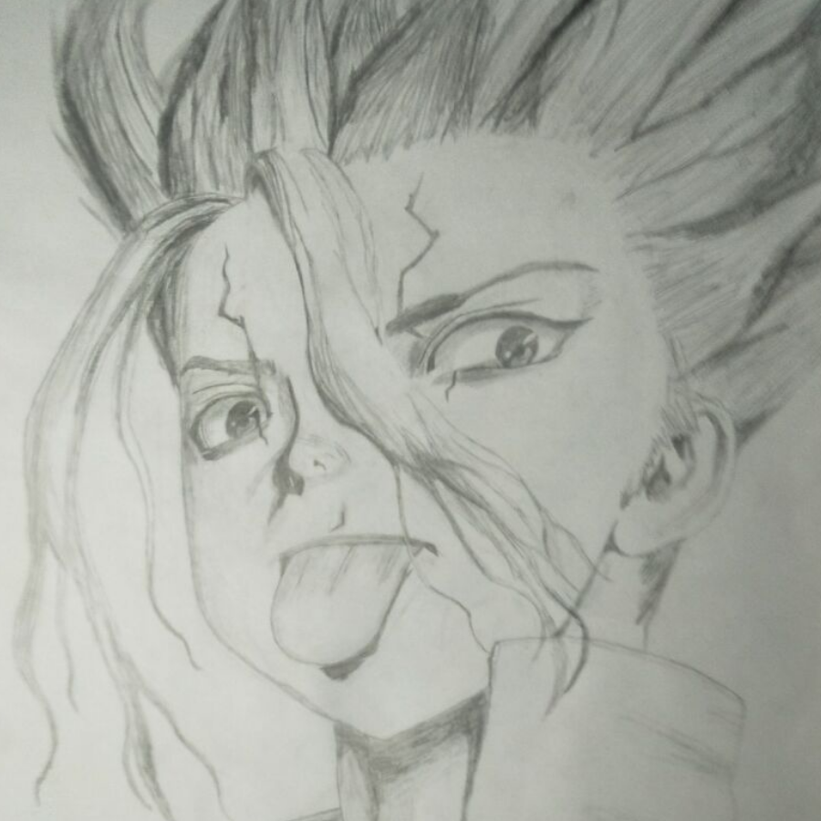 XX气
