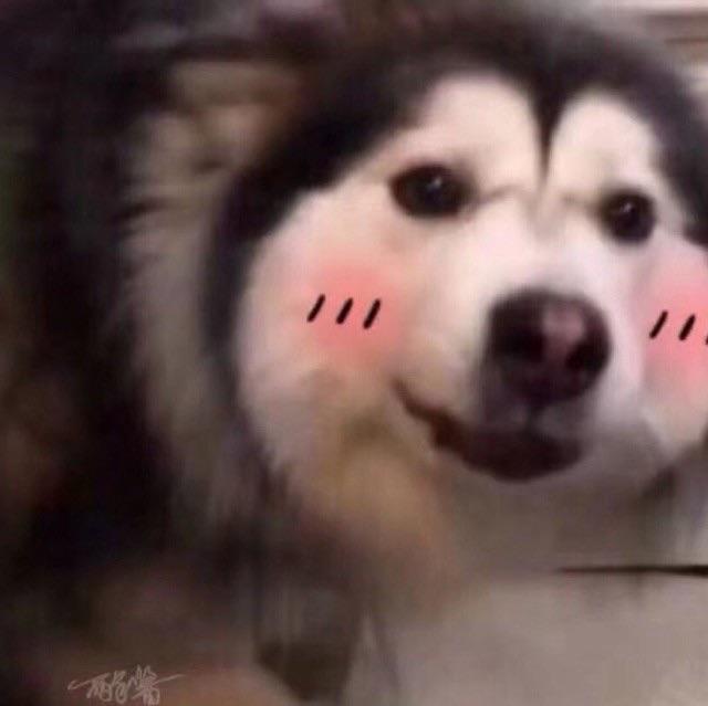 笛子