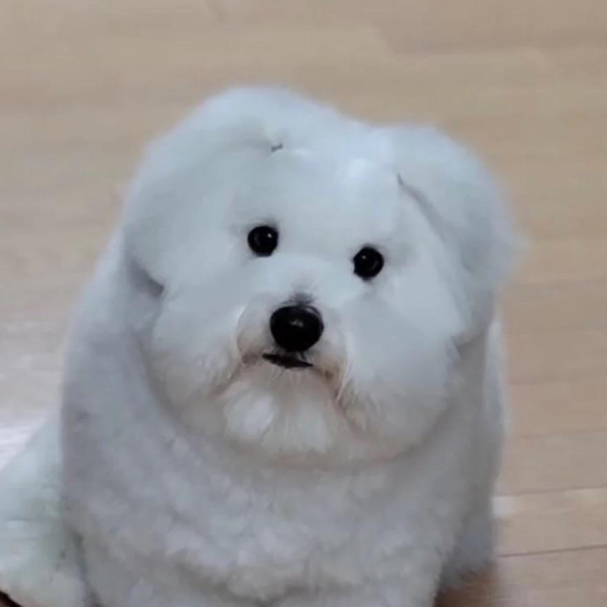 斯普特尼克恋人，