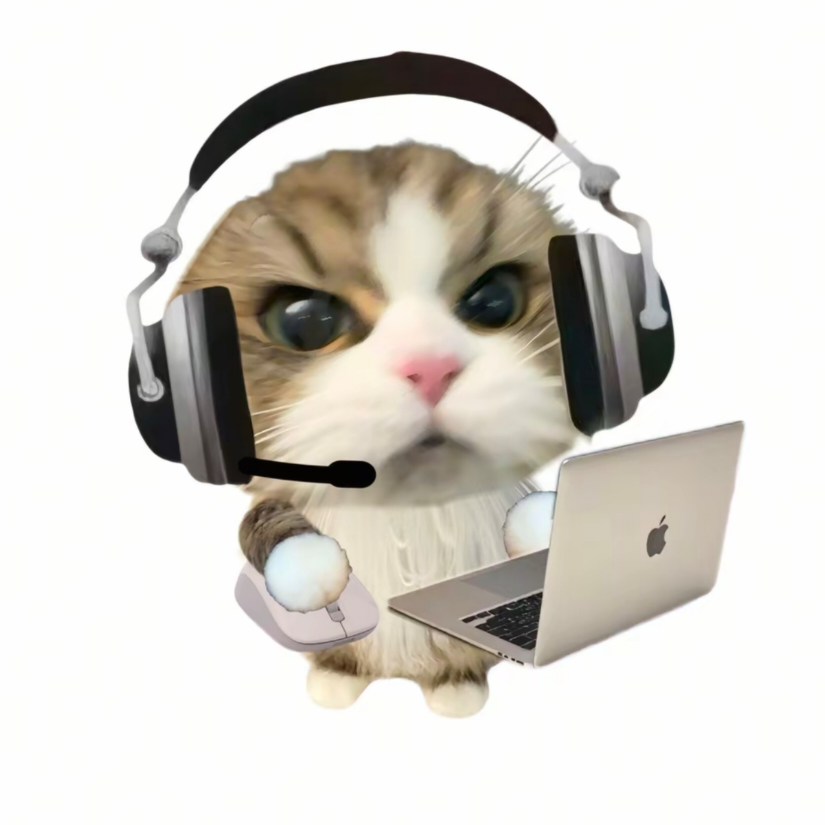 有气质的种子选手