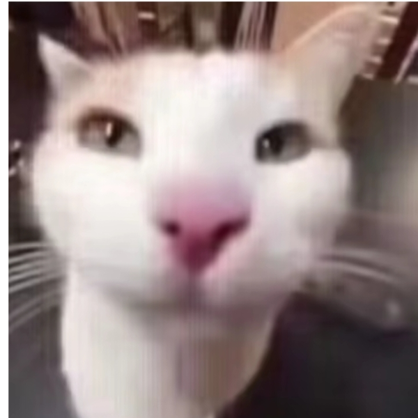 丰夊了一。