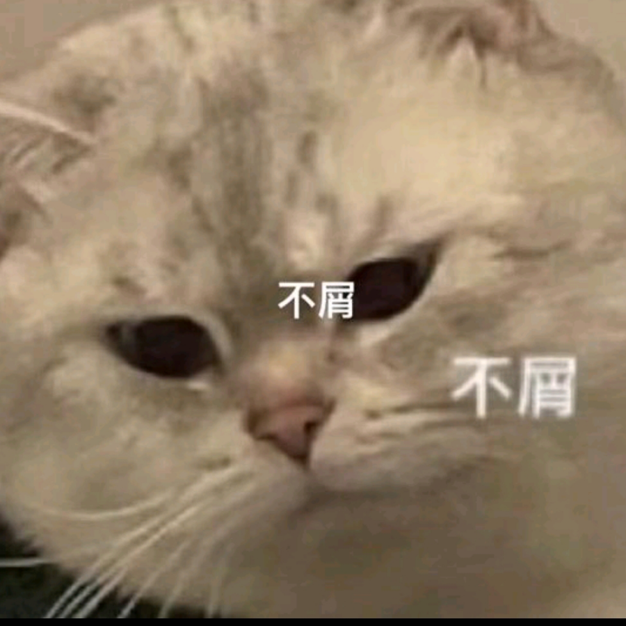 薛闲