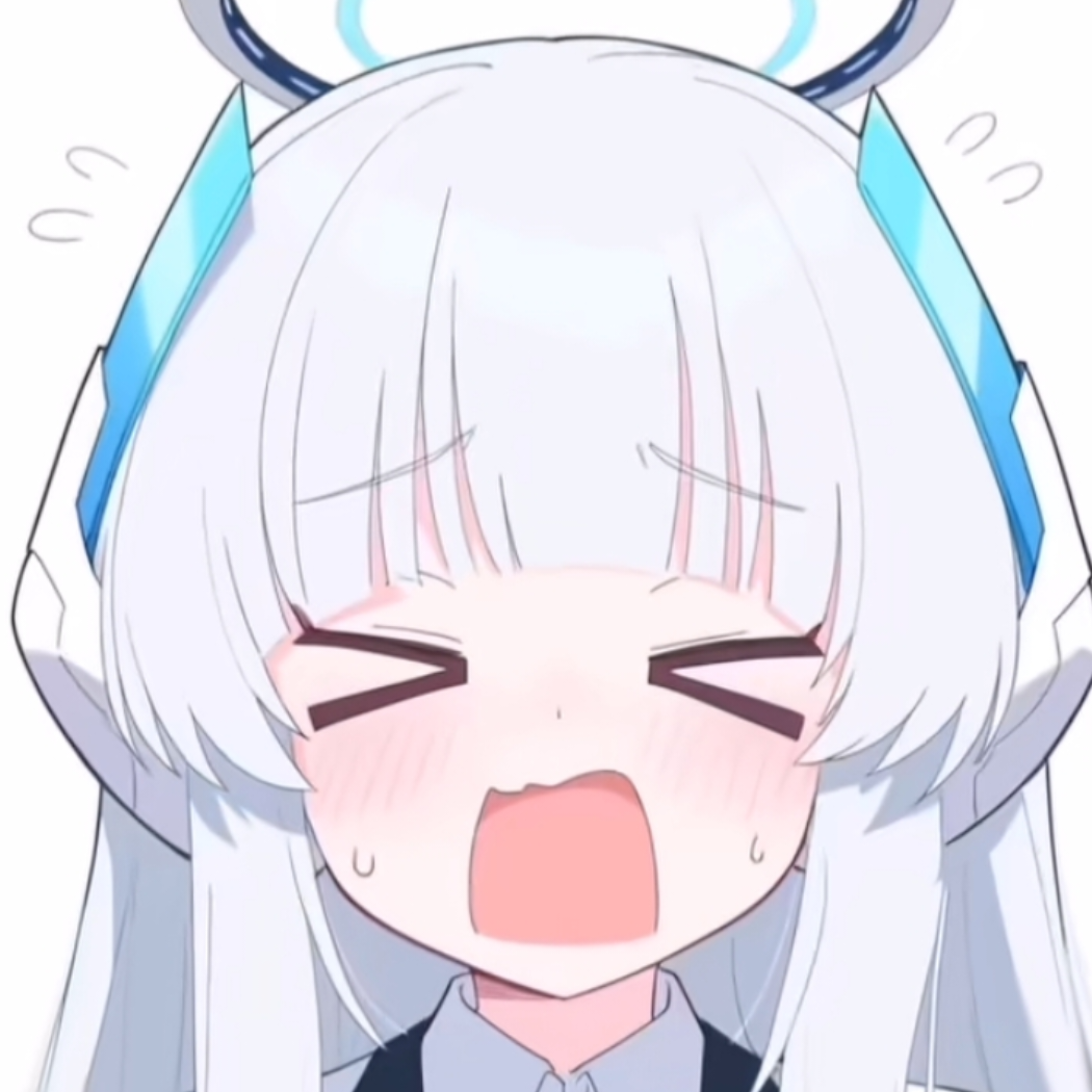 B站诺亚十四猫