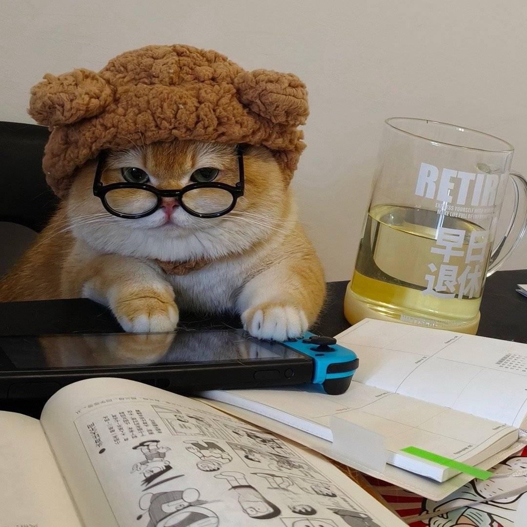 超酷的小靓仔