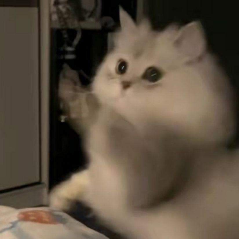 煎