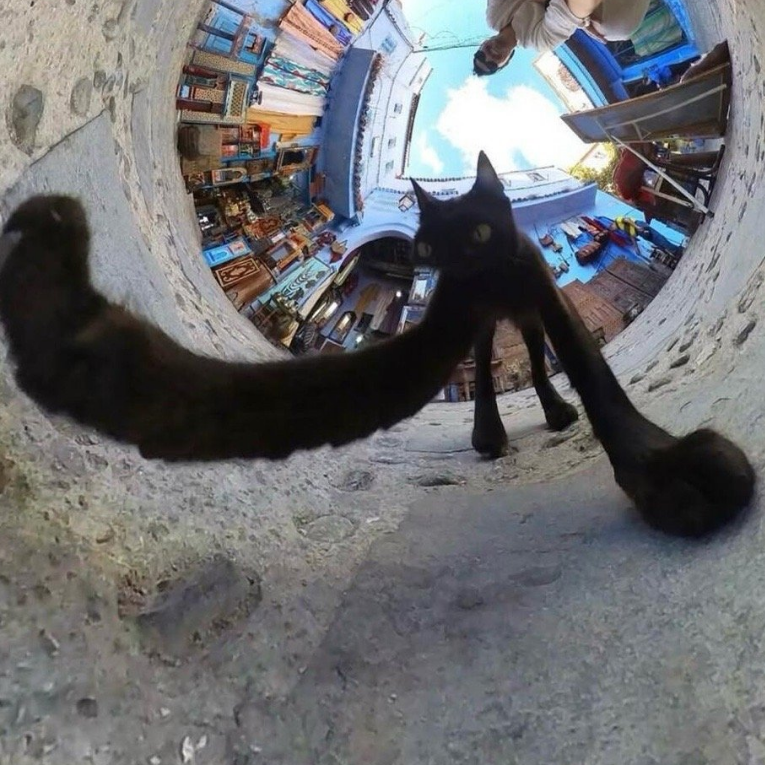 粟