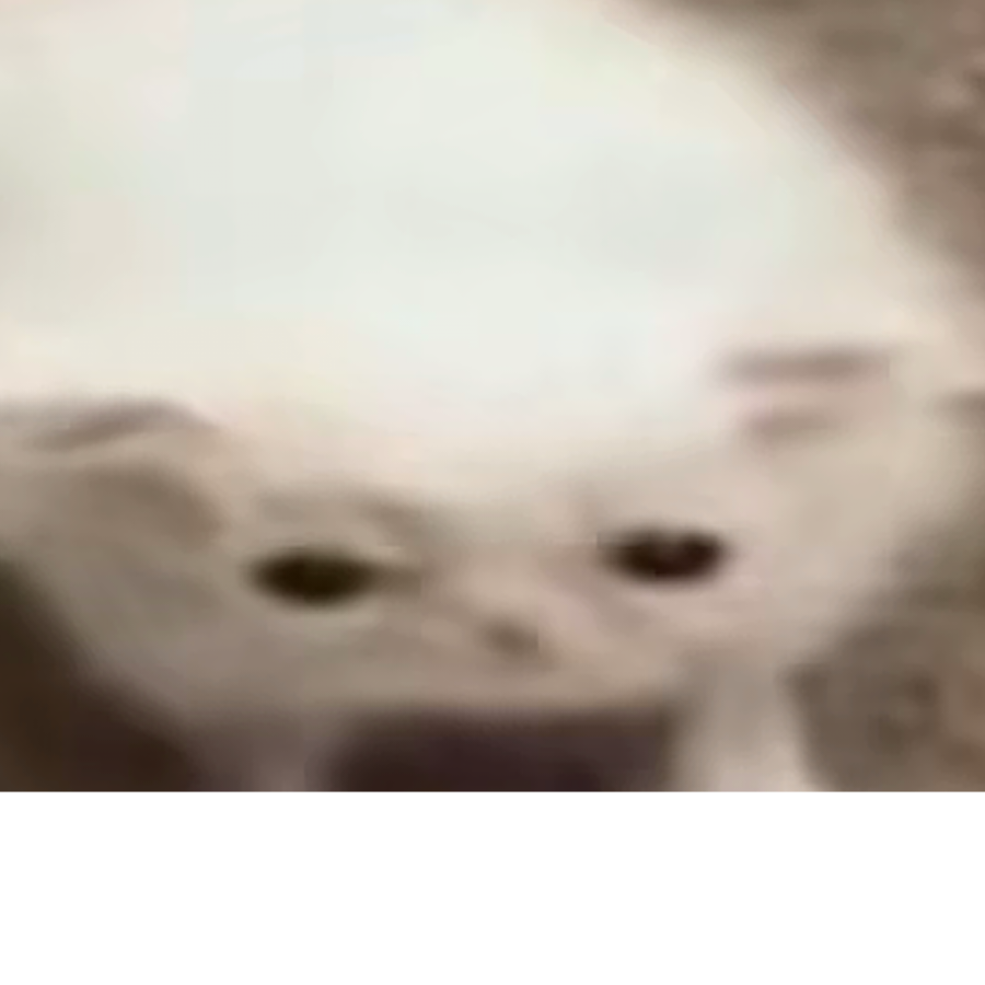潮