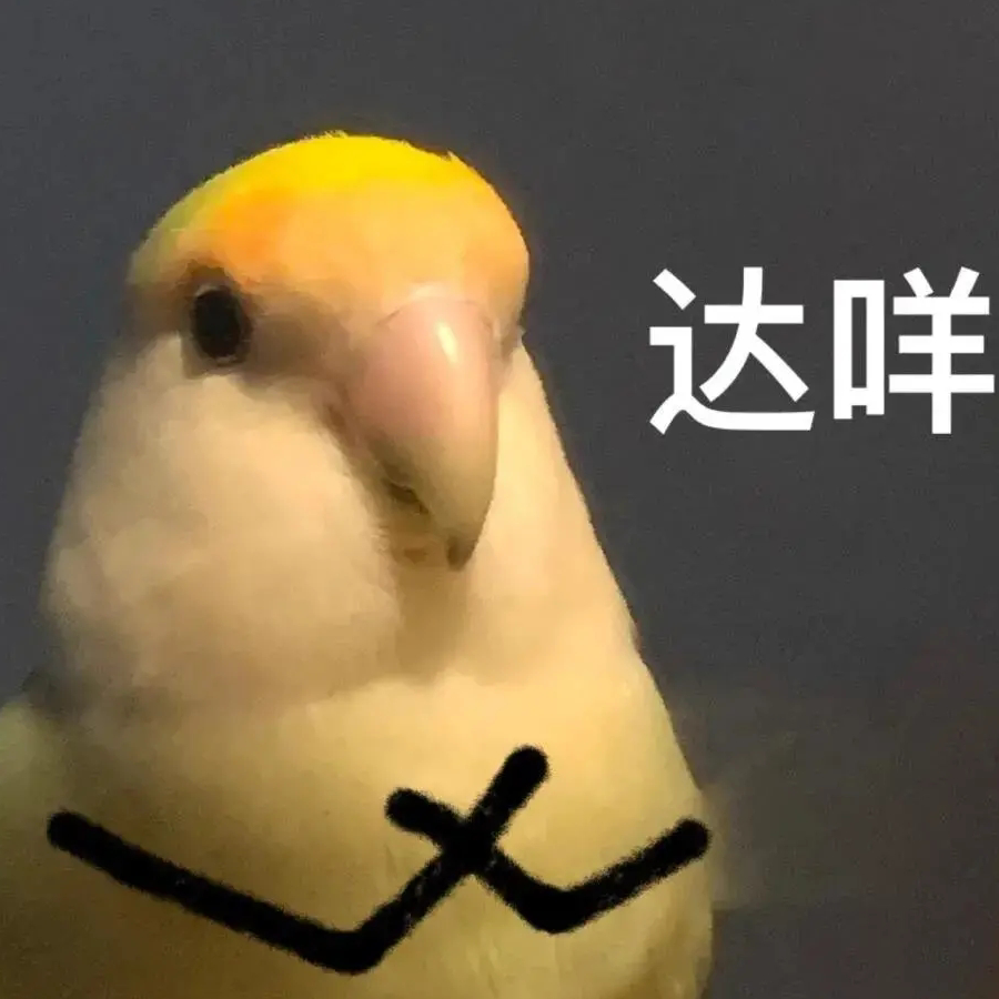车银优