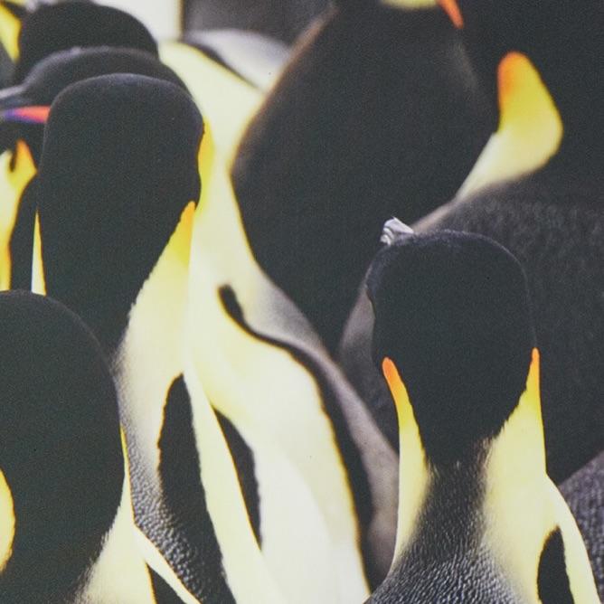 爆米花我的超人