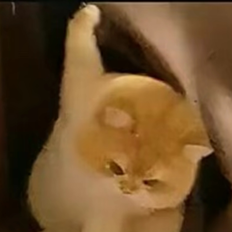 璀璨