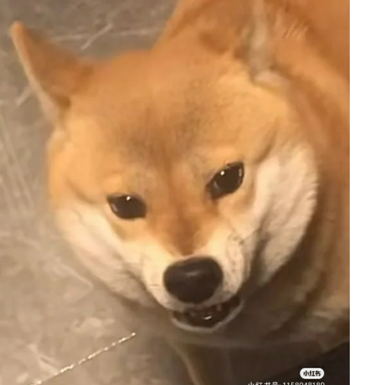 说笑了