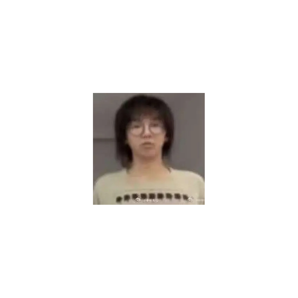 化十飒