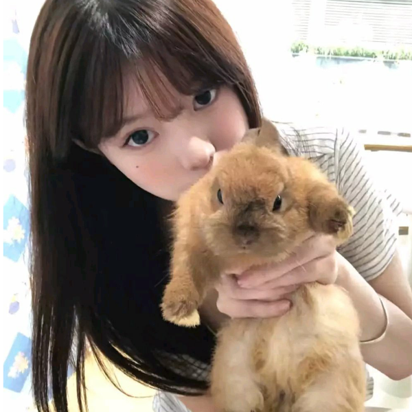 许芸
