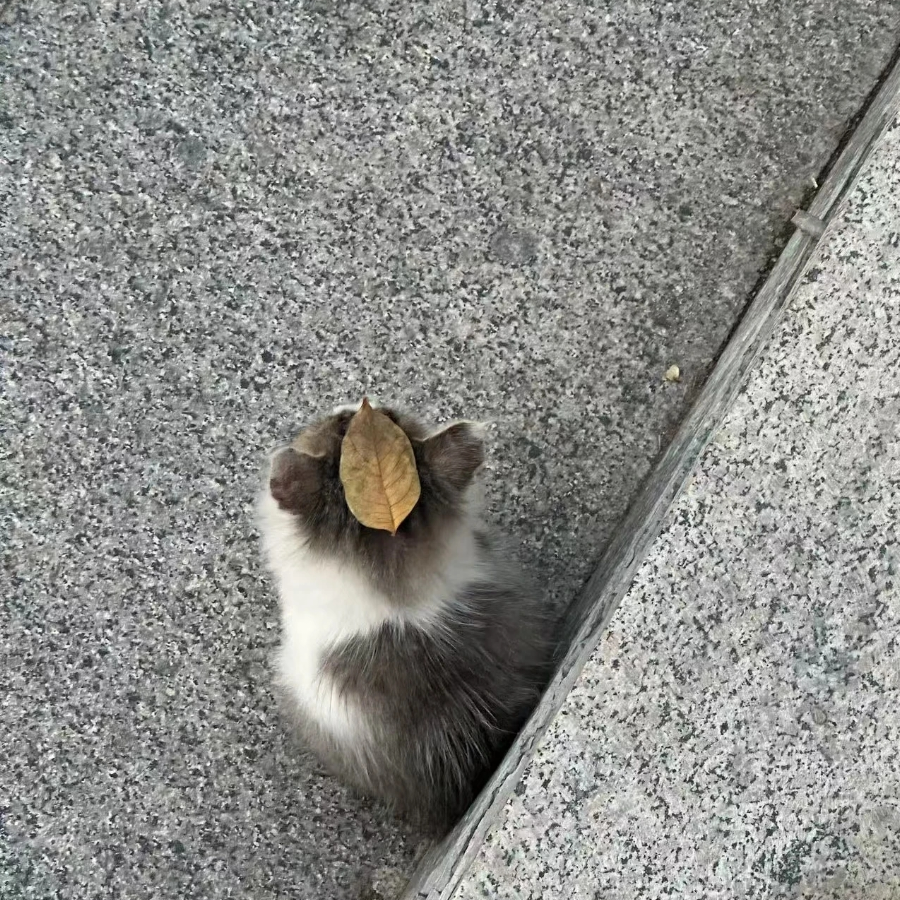 再重塑