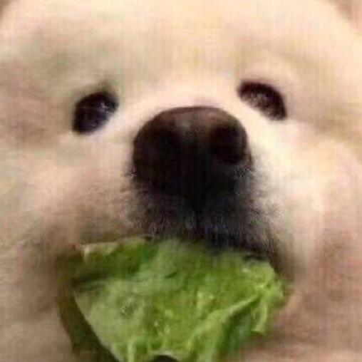 思巴拉稀
