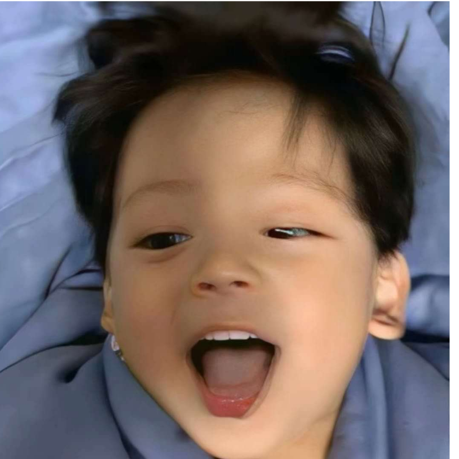 洋葱
