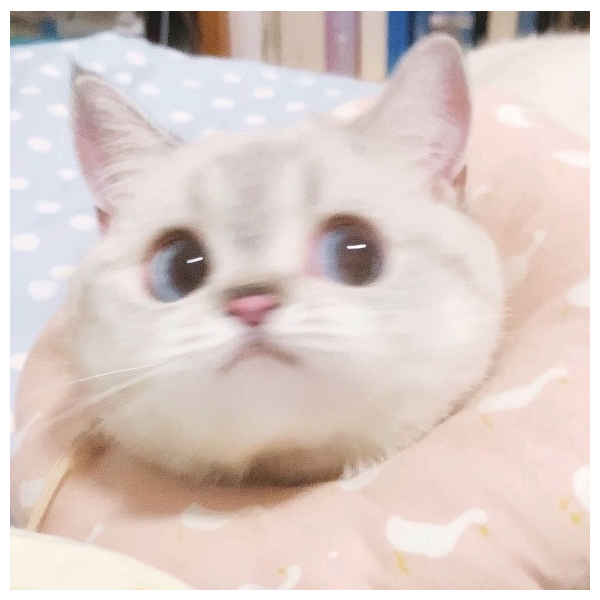 苡