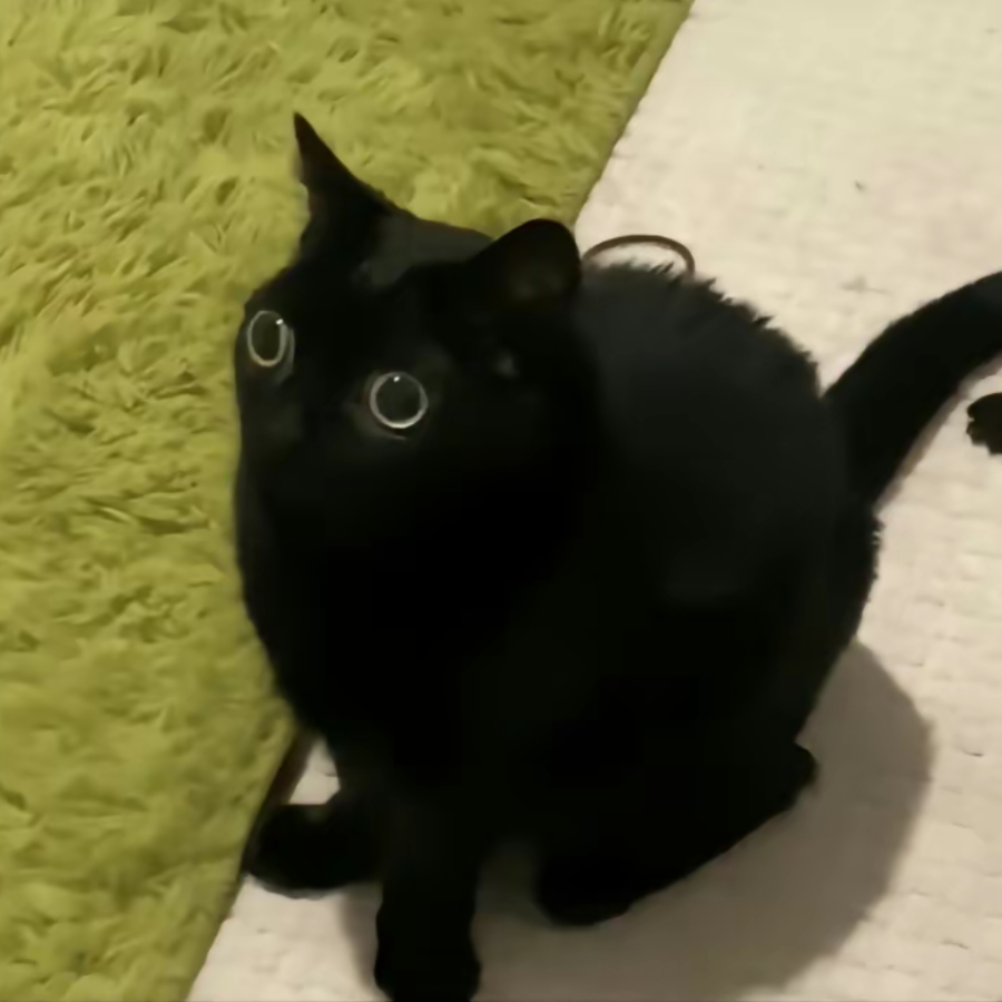 ooooui