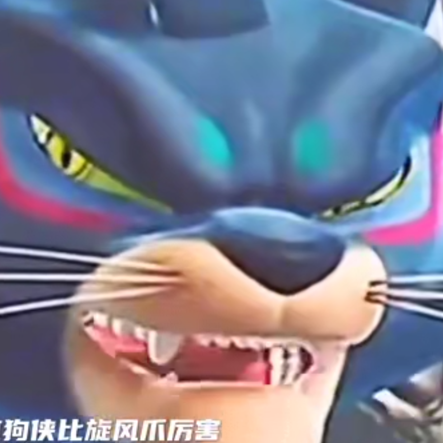 带领大队的将军