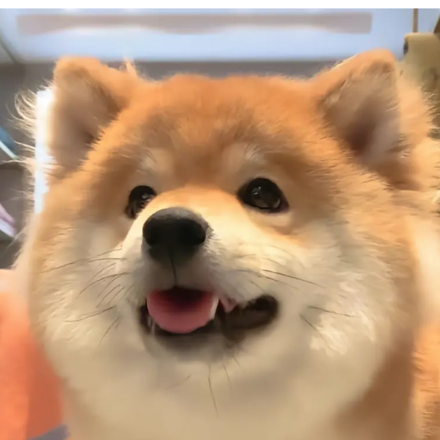 长风几万里