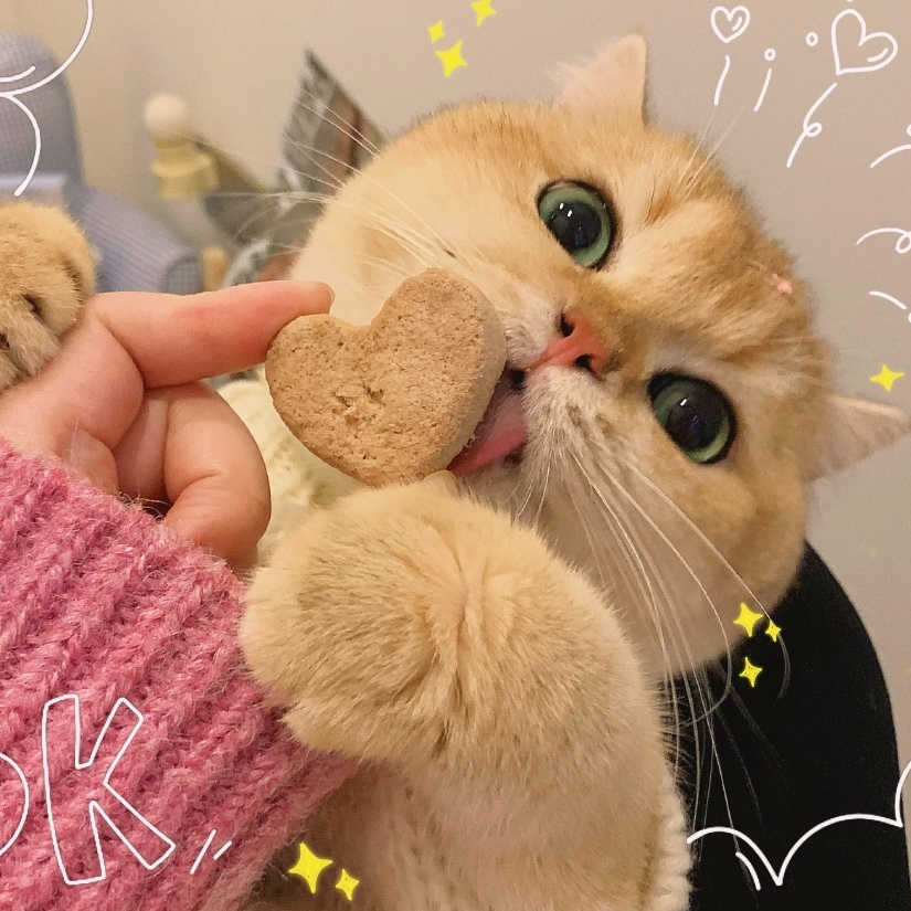 甜不过二家♬