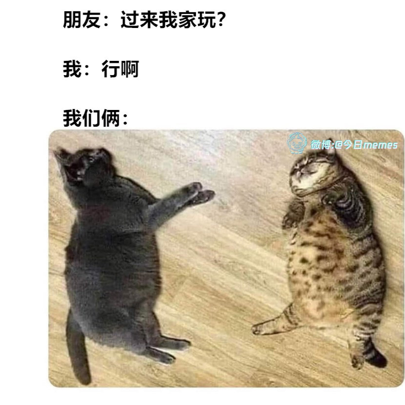 嘿嘿😁