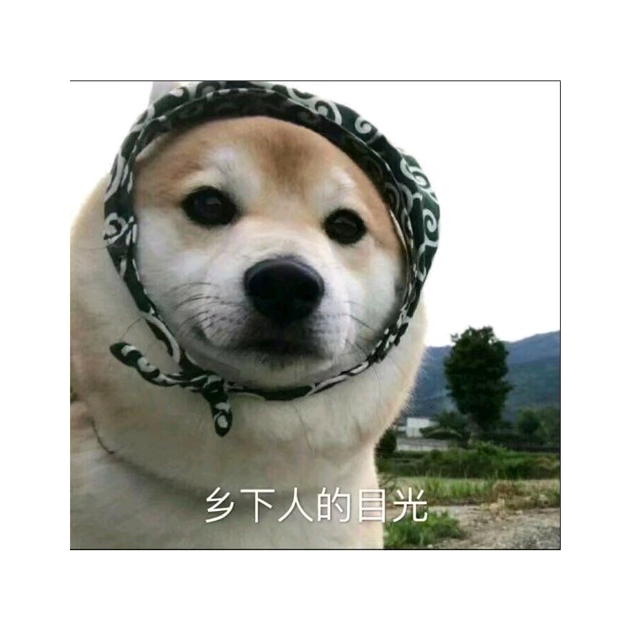 快乐的修苟