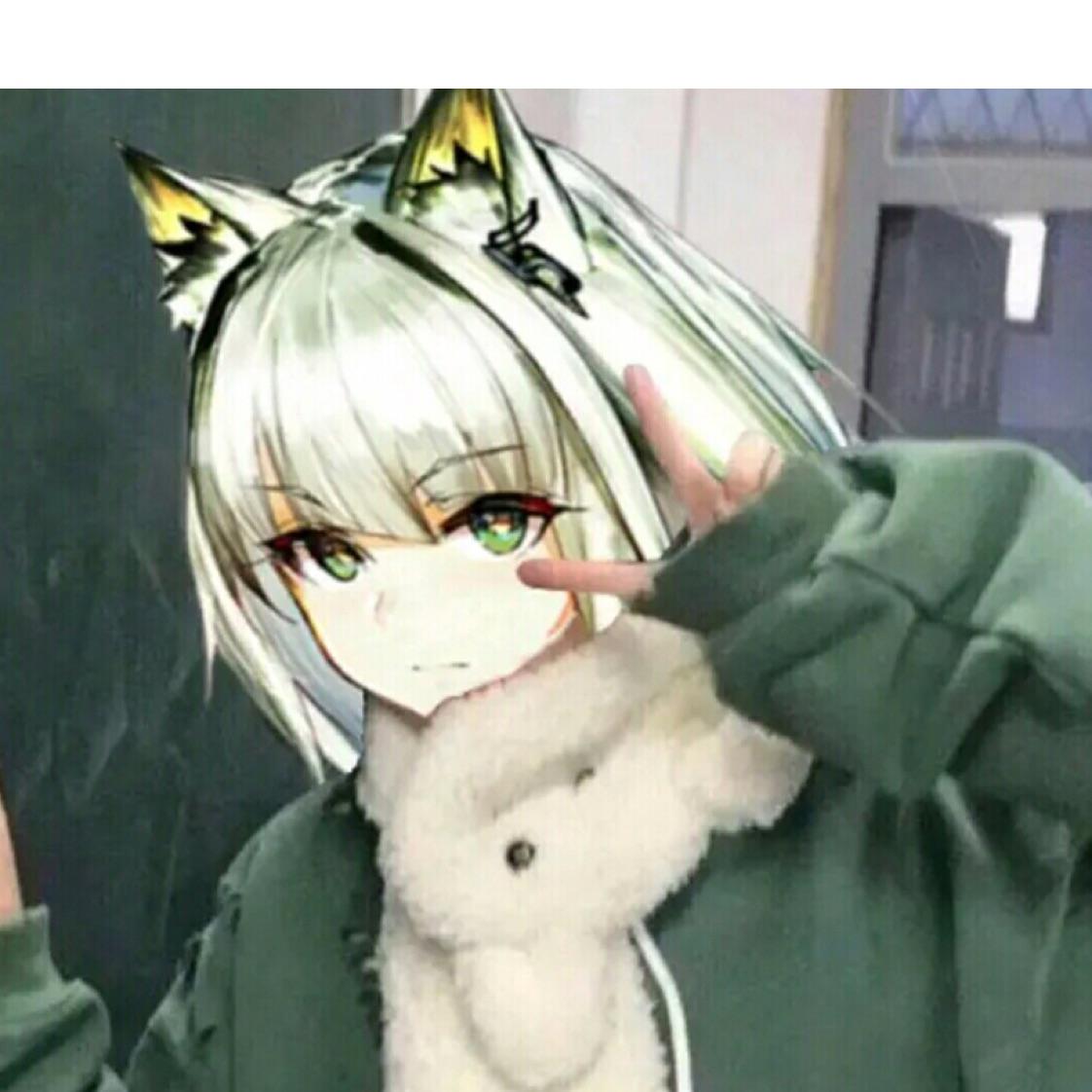 罗德岛著名老猞猁