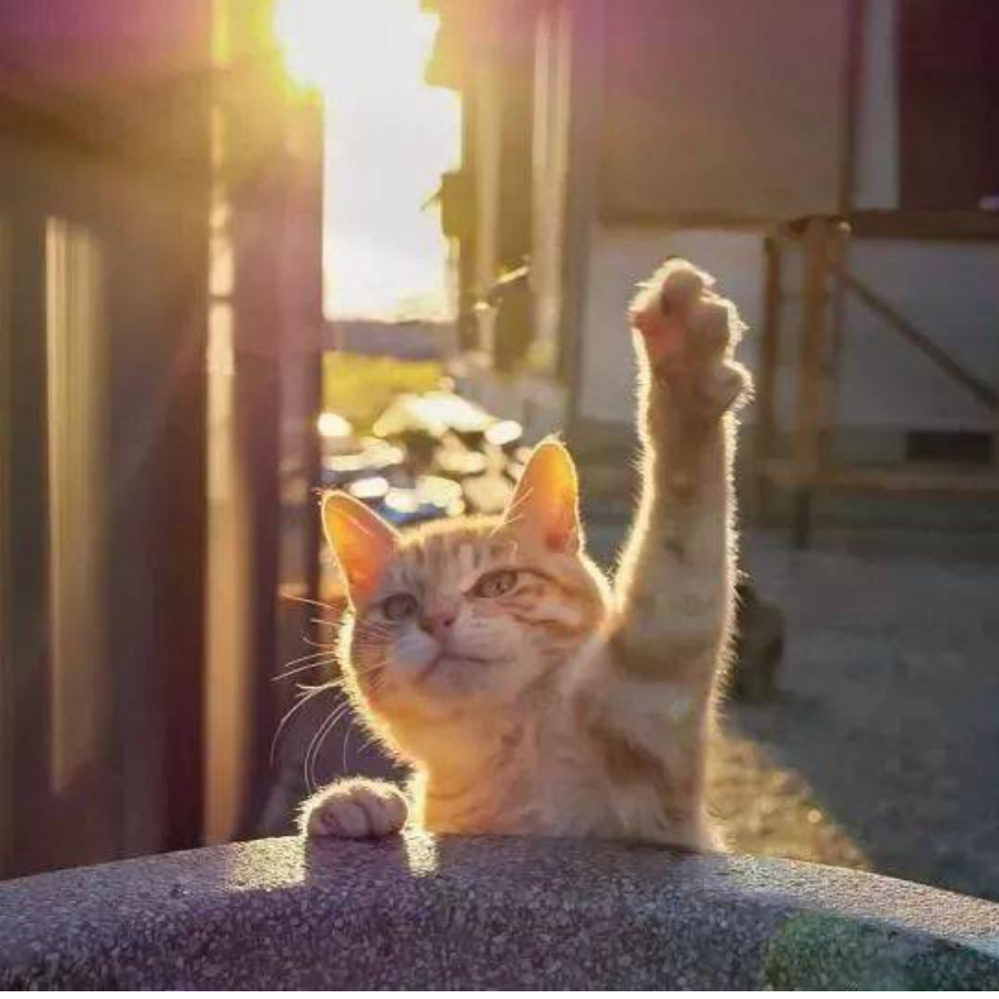 沐曦