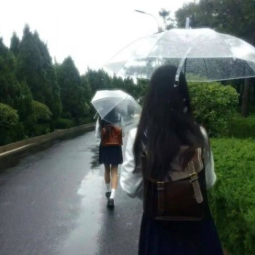 我题序等你回