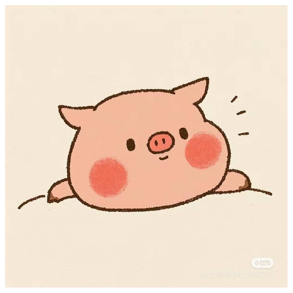 吉祥小猪