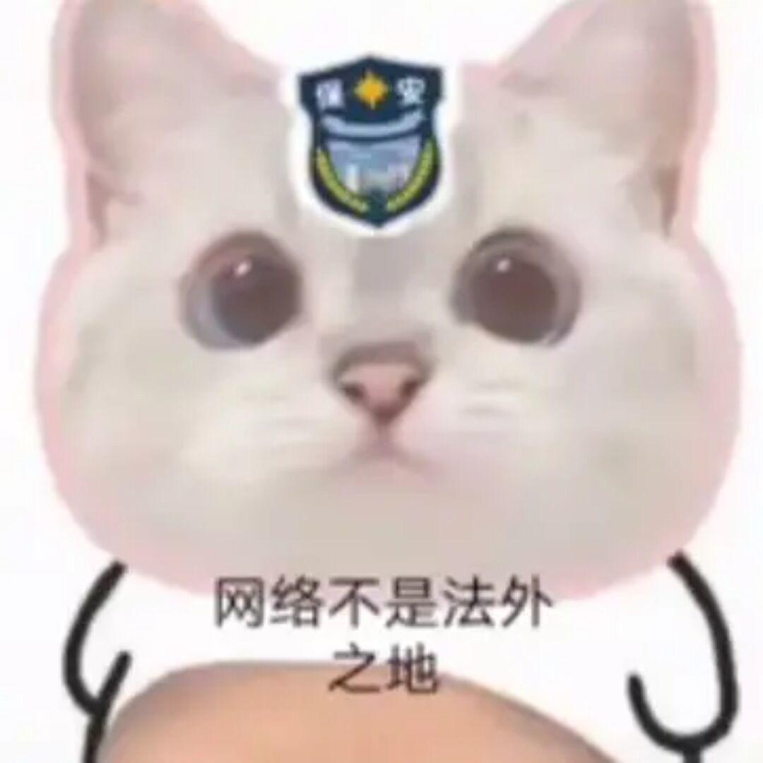 足智多谋的龙骑士