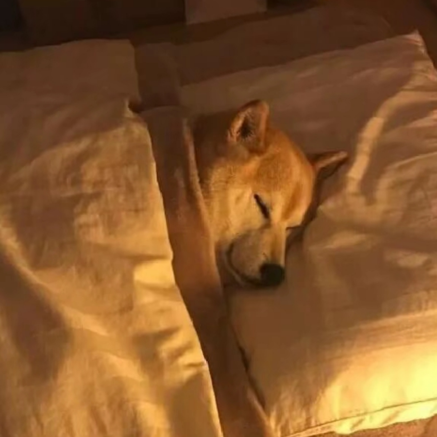黑胡椒