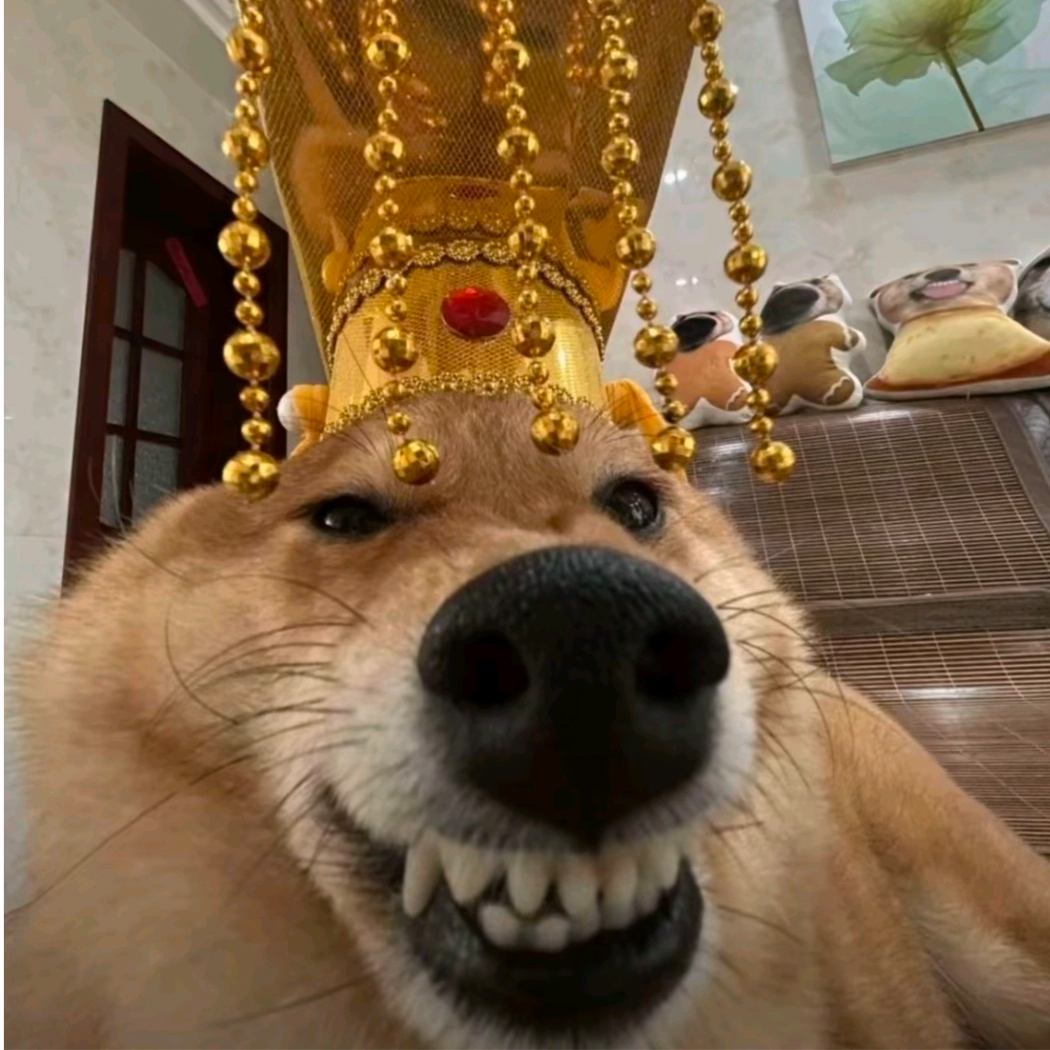 *廿六