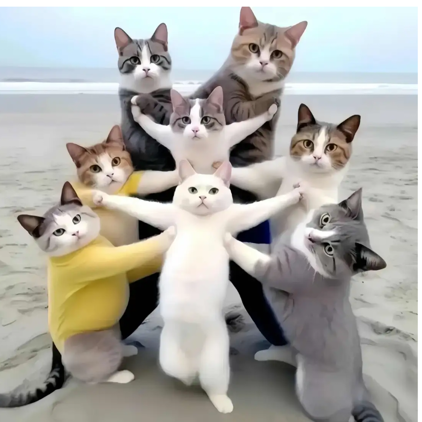 龙吟剑啸破苍穹