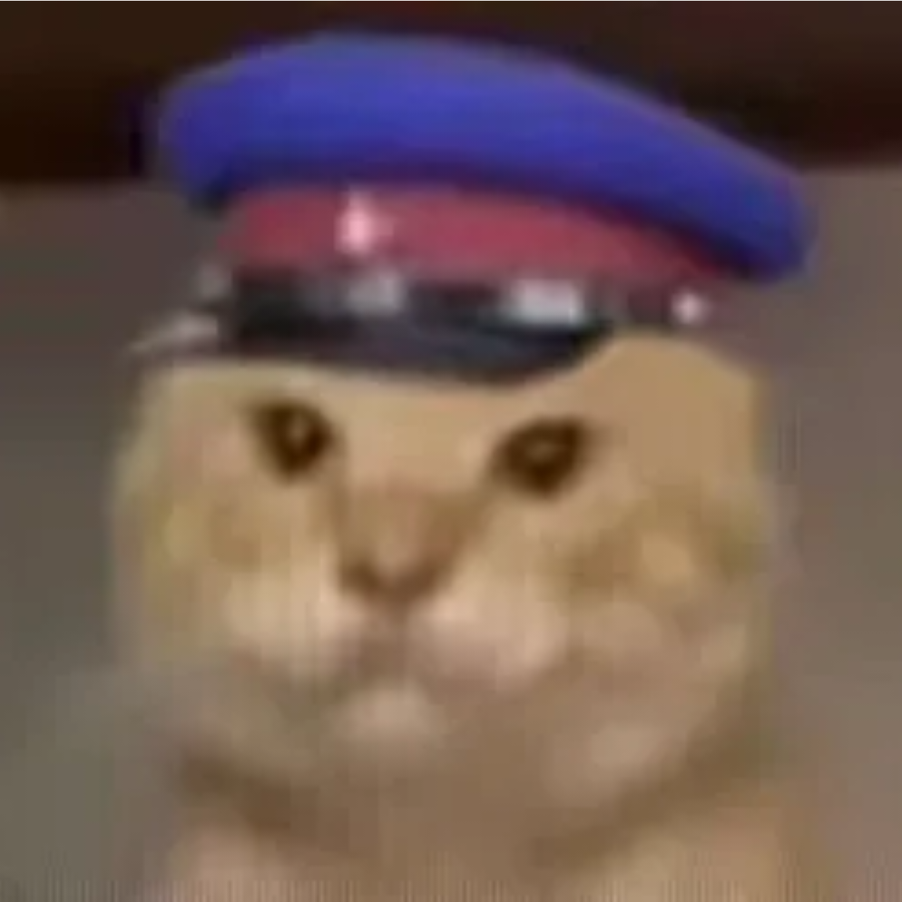 莫之与京