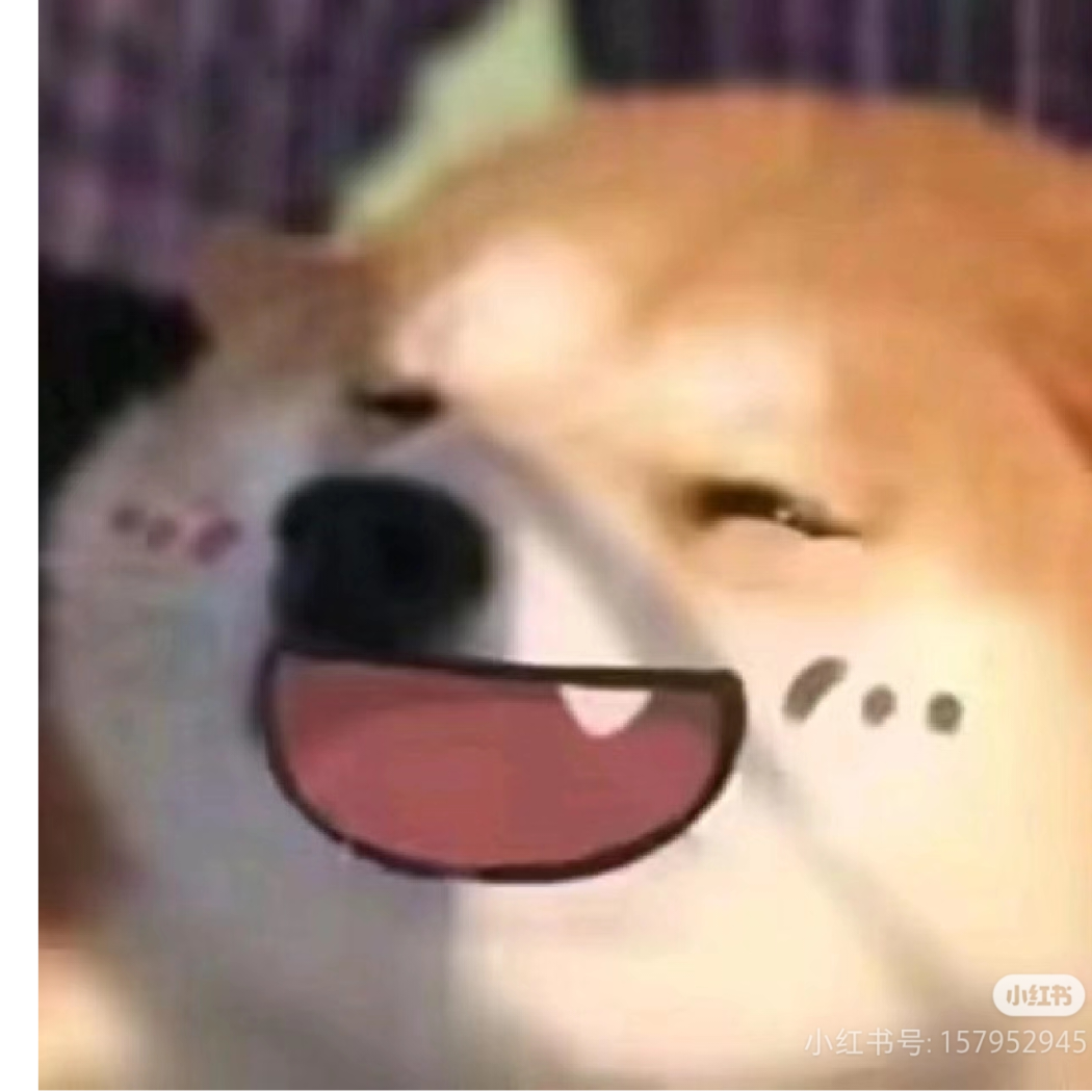 小狗不能睡懒觉