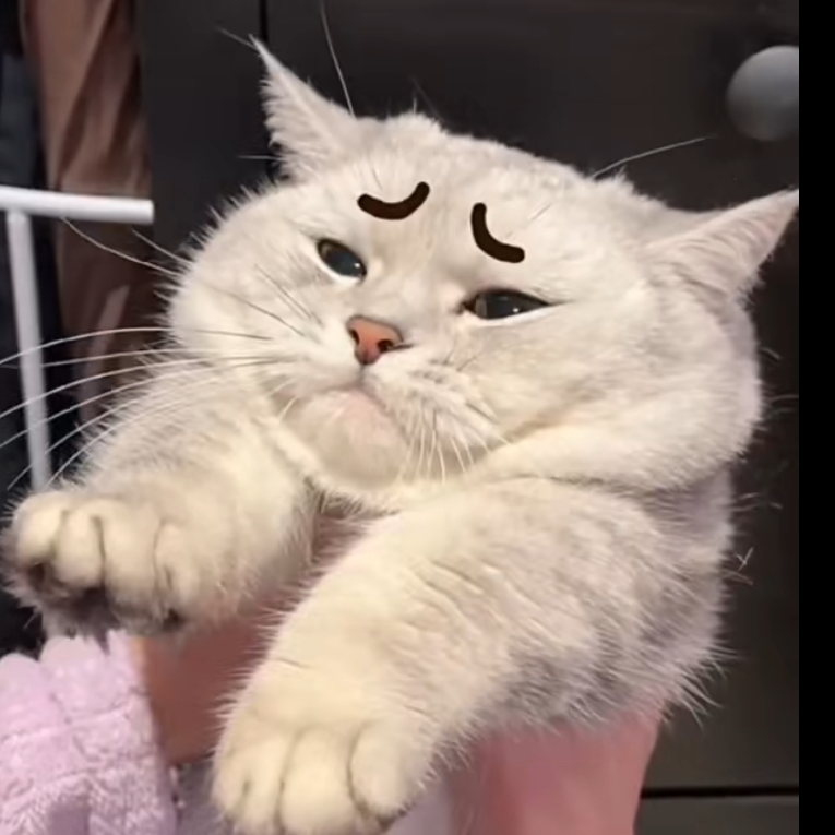 嗯嗯嗯对对对