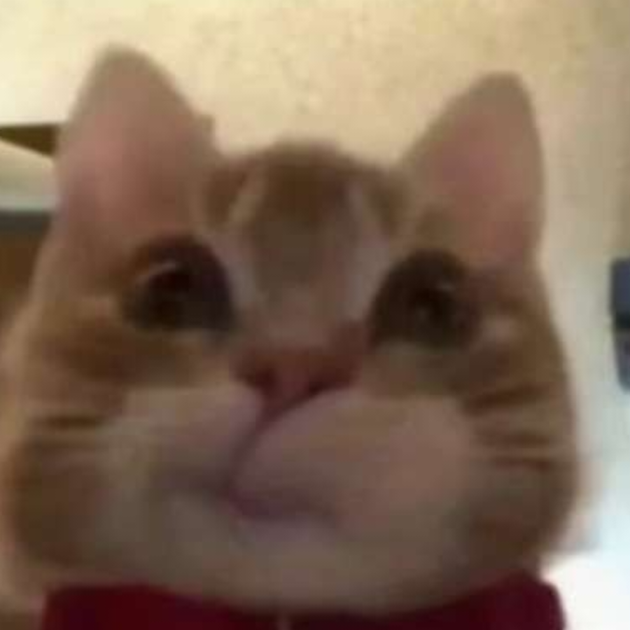 凌路路