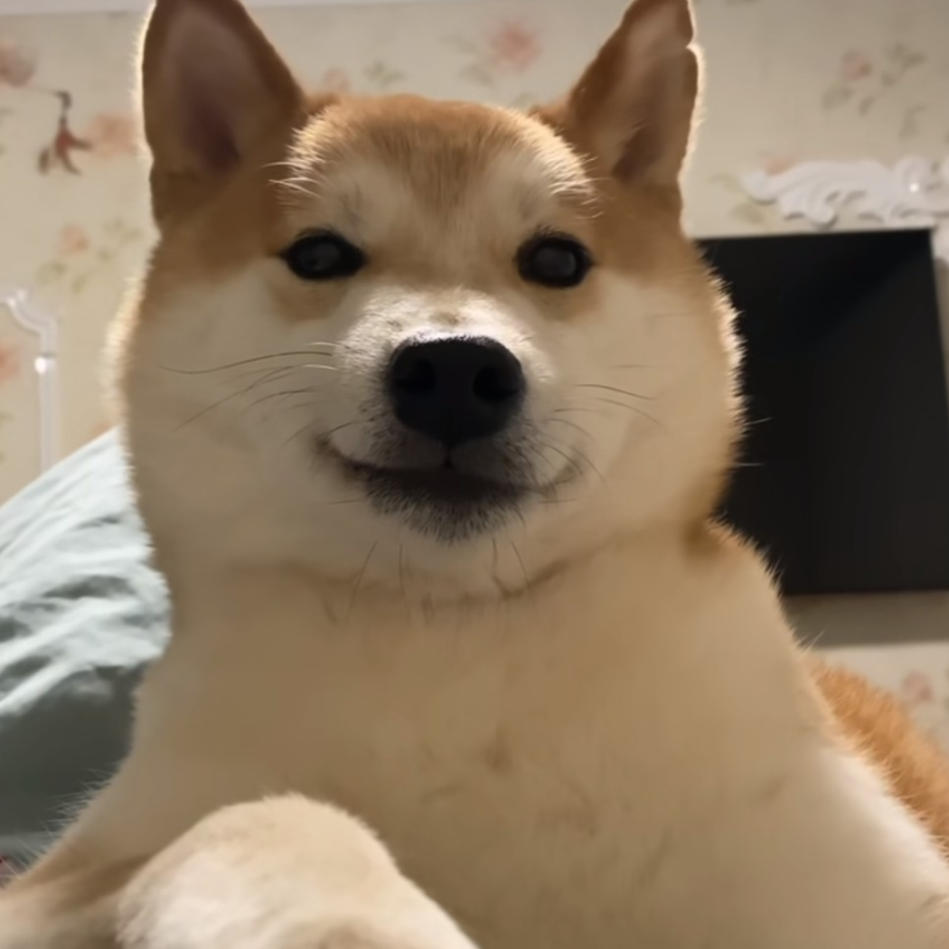 回头