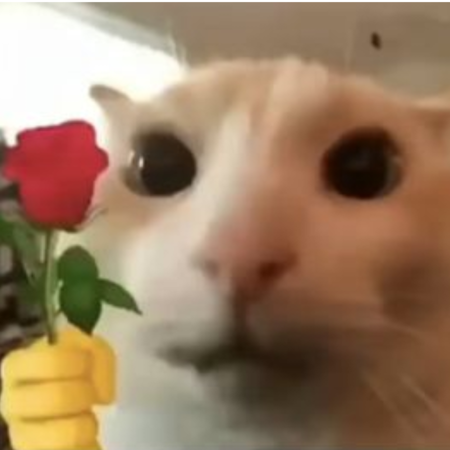 一起买菜