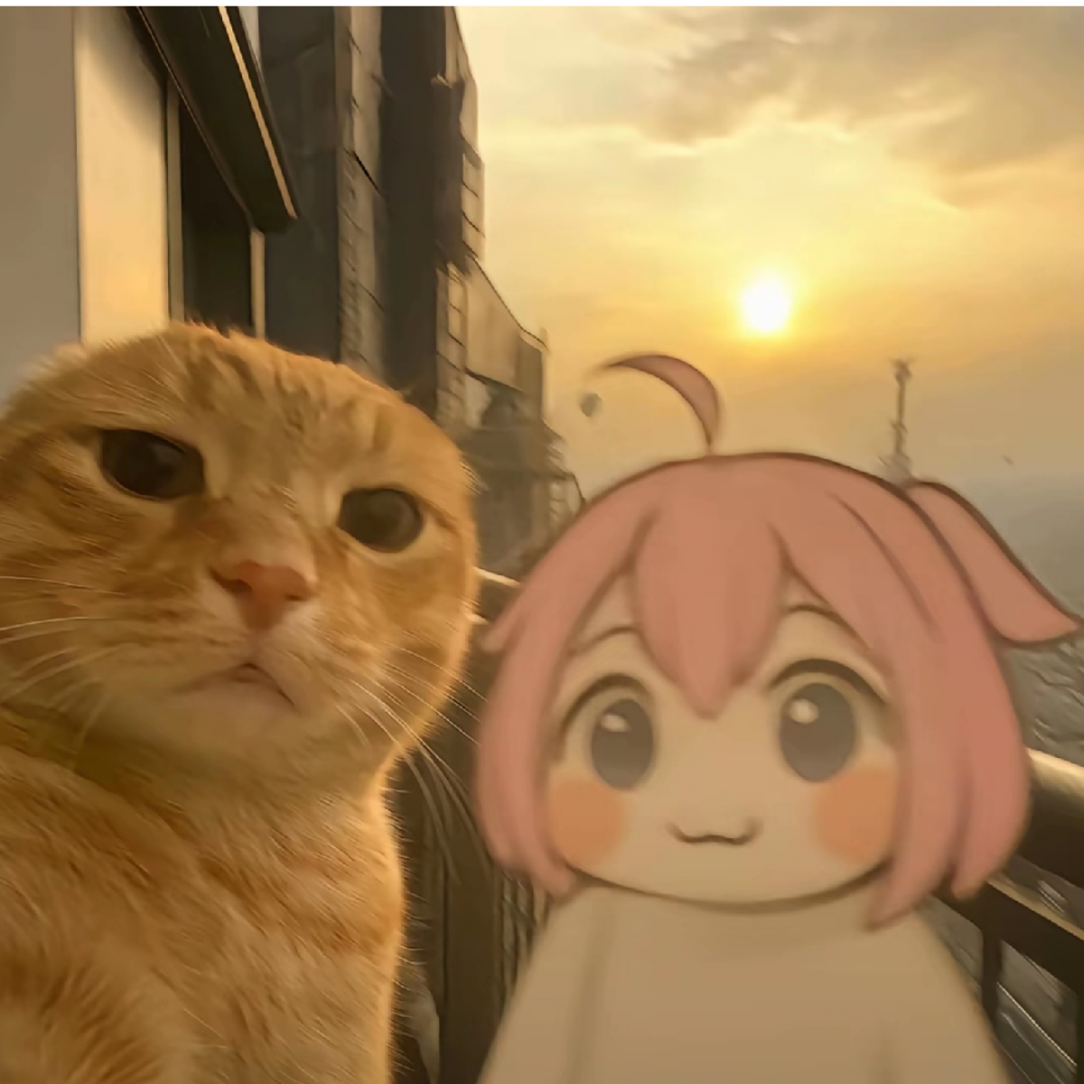 卡哇伊