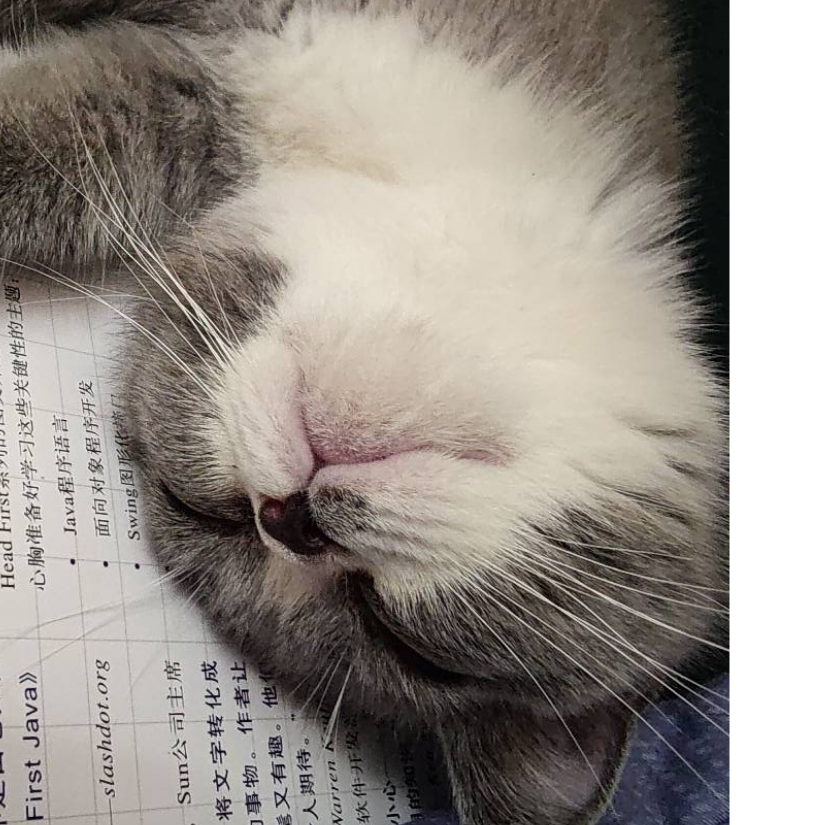 大大大大大灰机