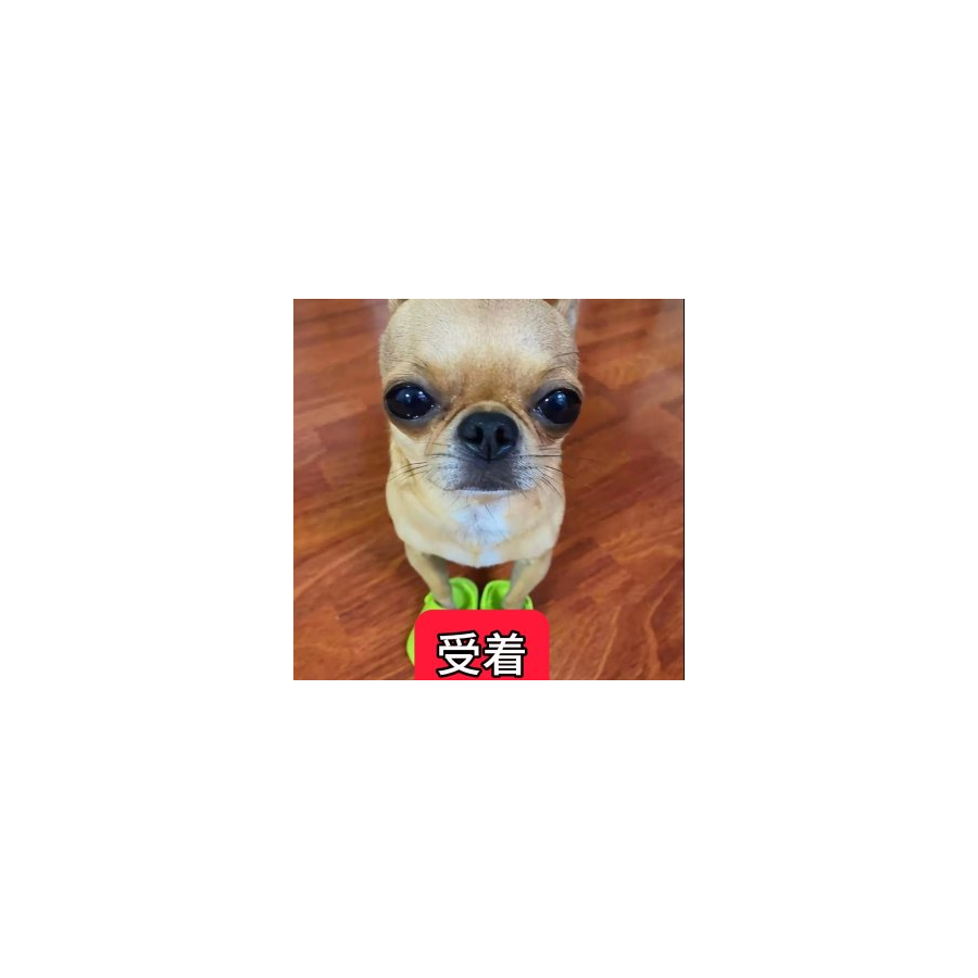尢