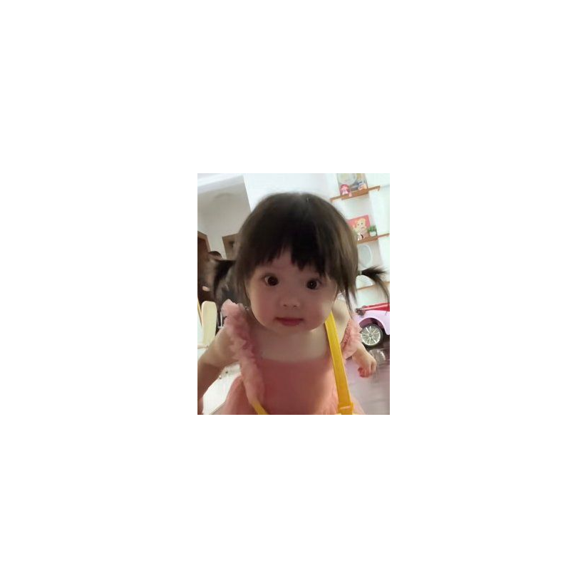 孟杏