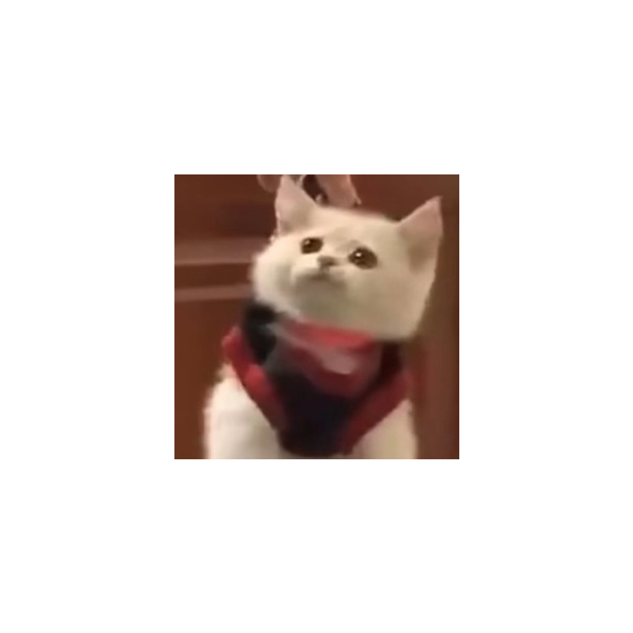 佟祥