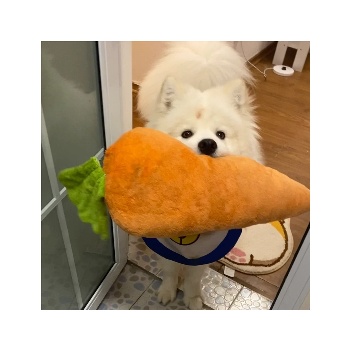 西西西瓜瓜🍉
