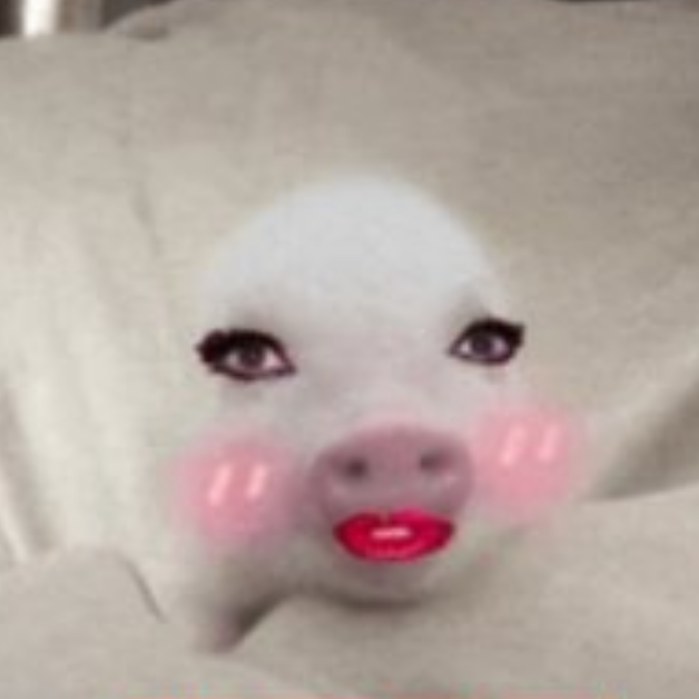 hsgjdbns