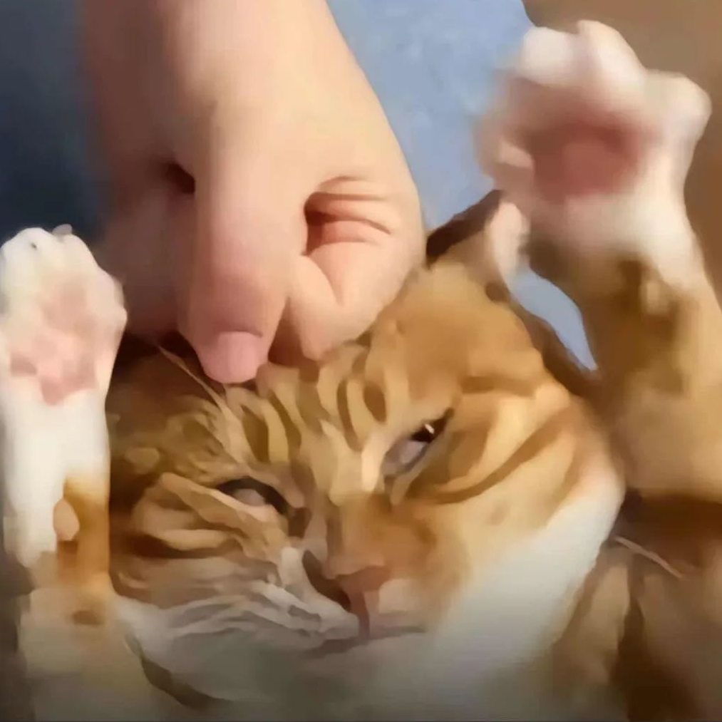 我吃橘子芒果香蕉葡萄西瓜